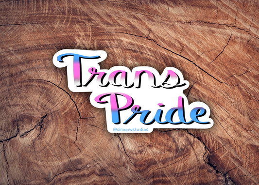 Trans Pride Weatherproof Die-Cut Sticker/ Transgender Flag Weatherproof Die-Cut Sticker/ Trans Pride Calligraphy Sticker